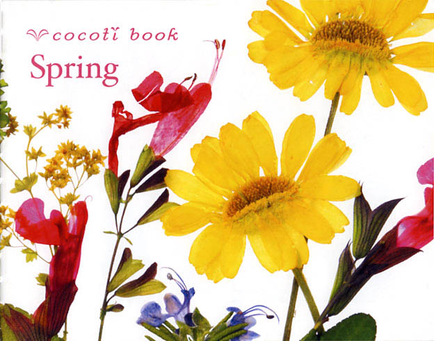 cocoti book Spring