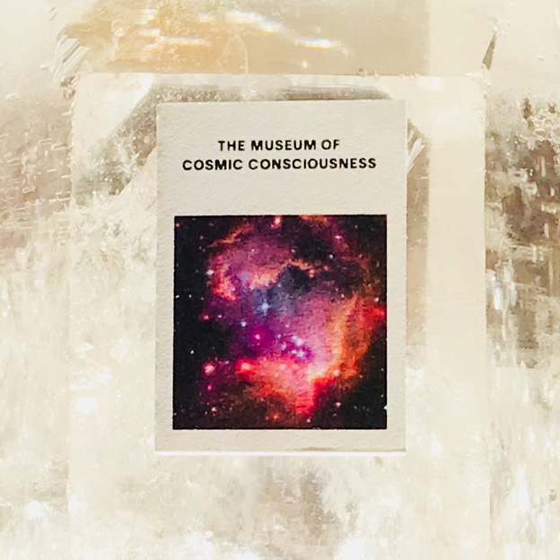 THE MUSEUM OF COSMIC CONSCIOUSNESS